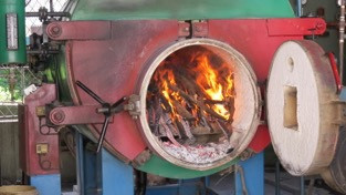 Green, Clean Energy: Biogas as a good solution for preserving nature