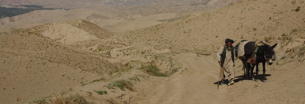 PIN to commemorate 9 dead colleagues in Afghanistan