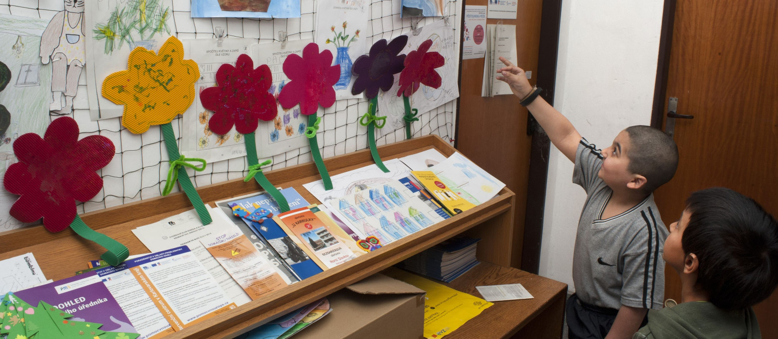 Working in the Social Integration Programmes