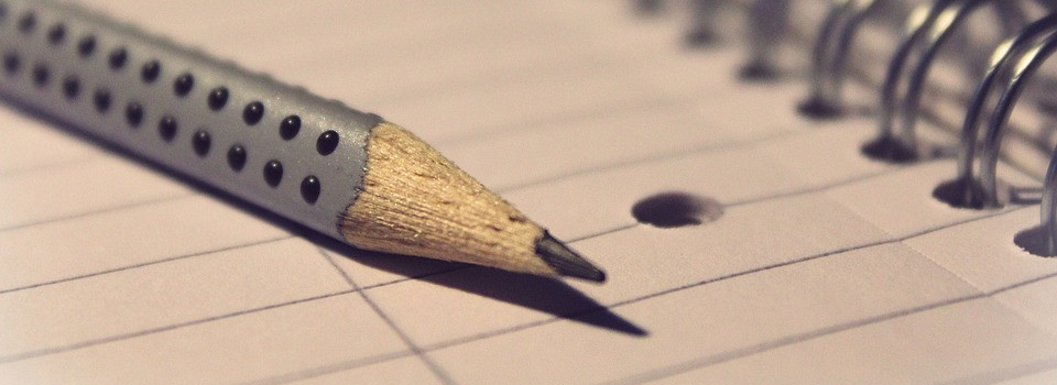 Tender: We are looking for trustworthy suppliers