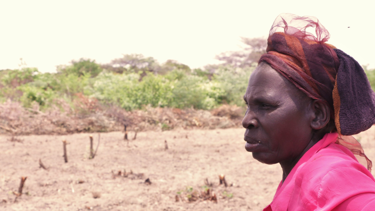 Farmers in Zambia are preparing for a rainy season