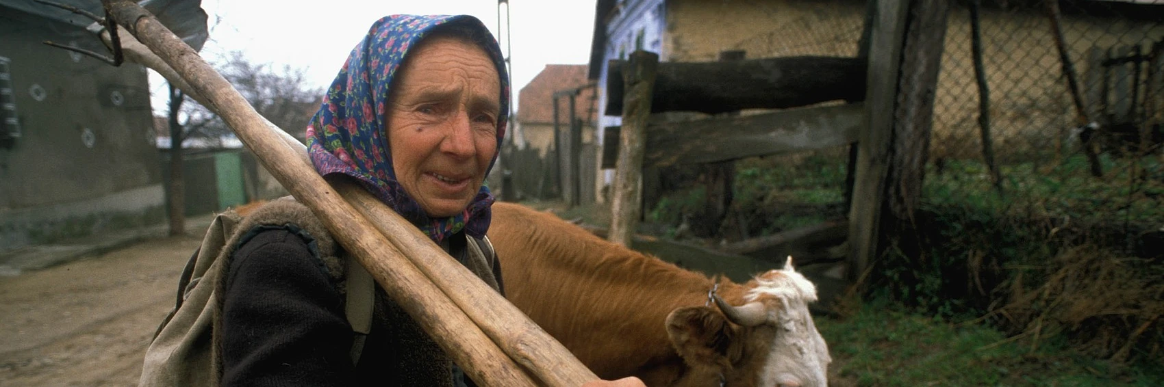 Romania: Climate resilience