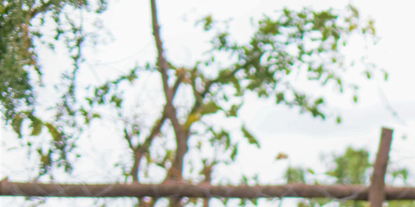 Providing clean water in Ethiopia – A leap to a better life
