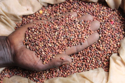 Integrated Multi-Sector Response to Conflict-Affected Communities in Ethiopia 