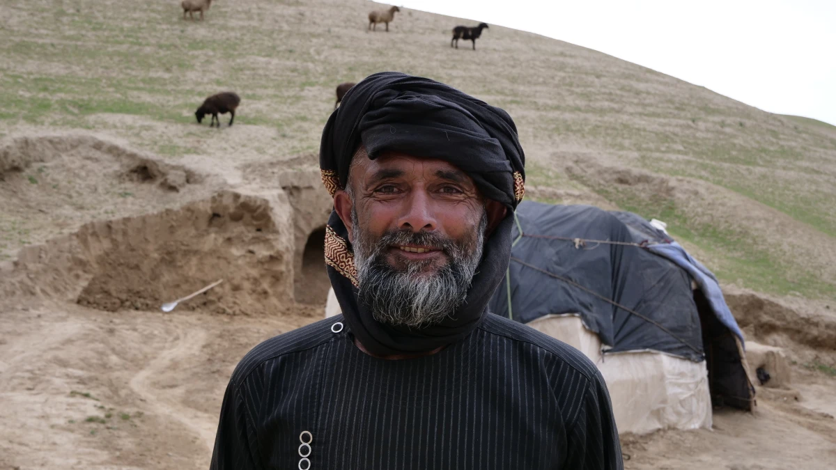 Livestock package, deworming, and Animal Health trainings , Balkh Province, Under AHF funded project.