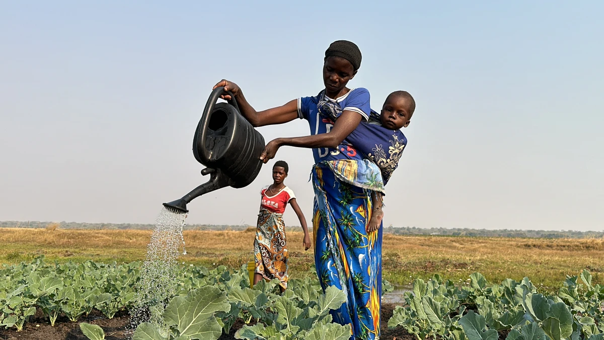 People in Need accredited by the Green Climate Fund