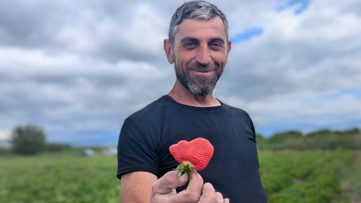 From assistance to self-reliance: Building a farm from scratch