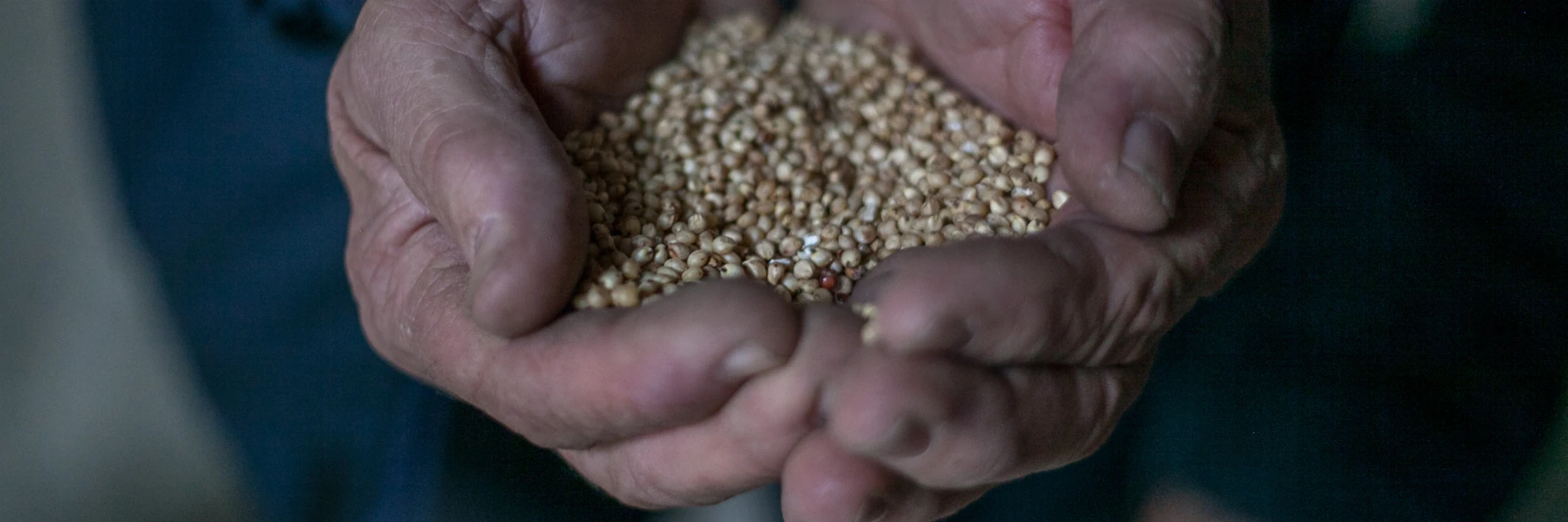 Moldova: Climate resilience