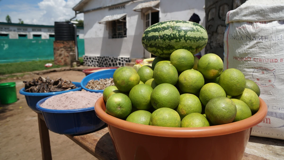 Tereza's Gadio CHANGE project visit