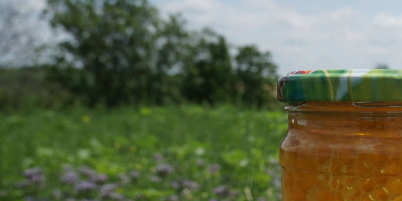 The gift of bees in Moldova