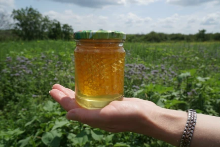 The gift of bees in Moldova