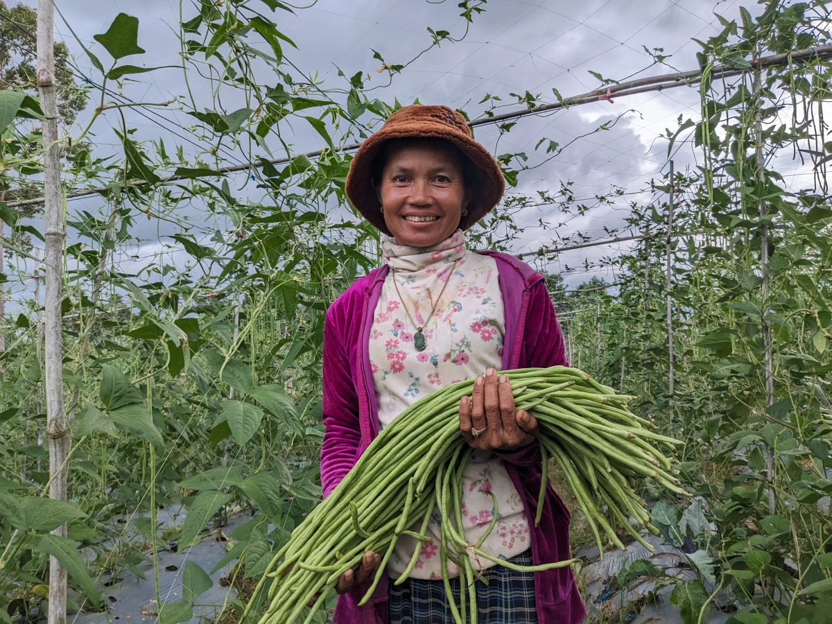 Ms. Nop Kolap showcasing green beans grown on her farm.