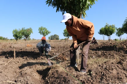 Farmers in Angola. 