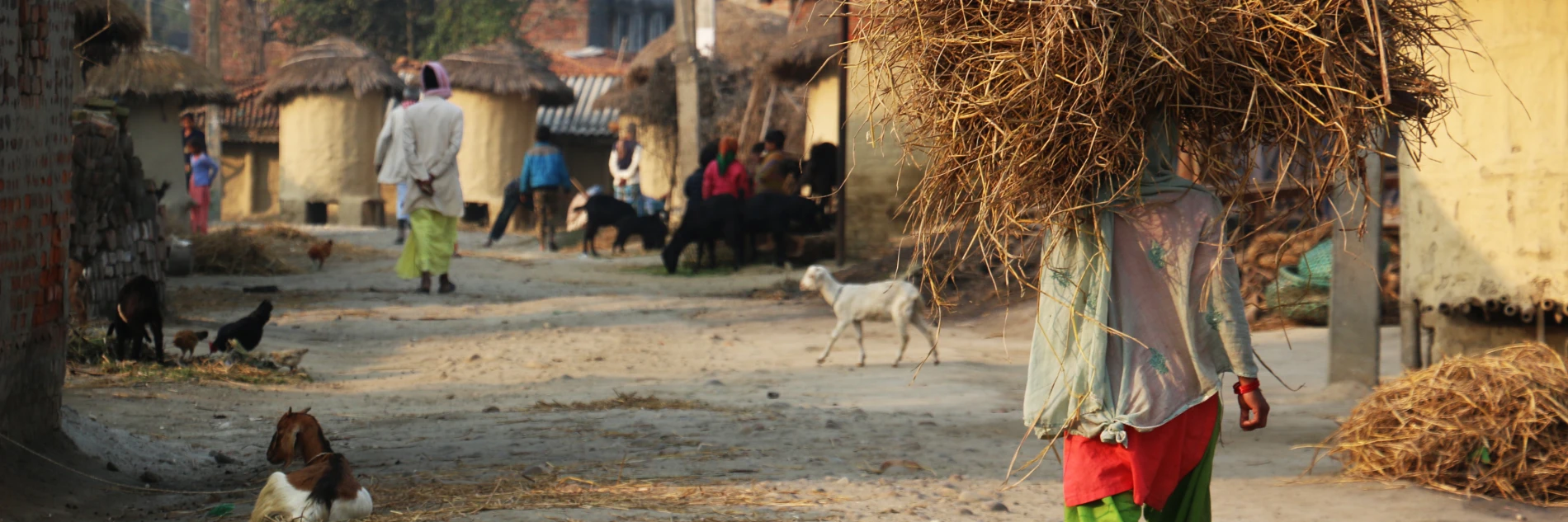 Nepal: Climate resilience