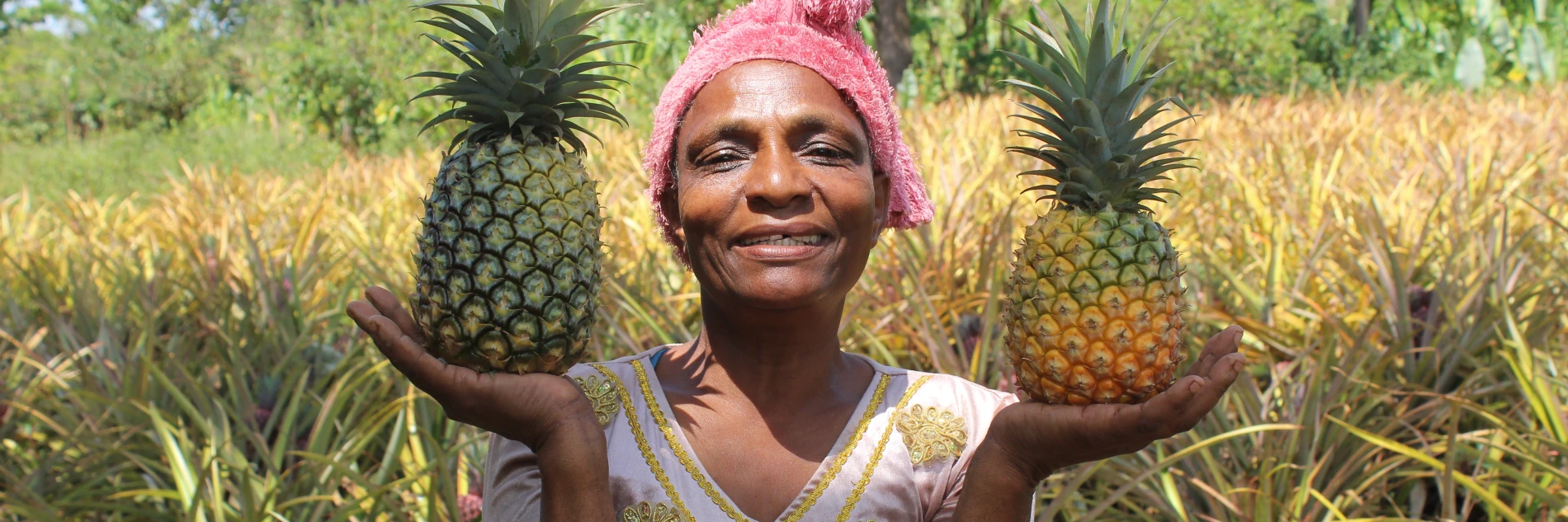 Ethiopia: Climate resilience