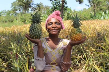 Vermicompost as a New Business Opportunity for Rural Women in Ethiopia