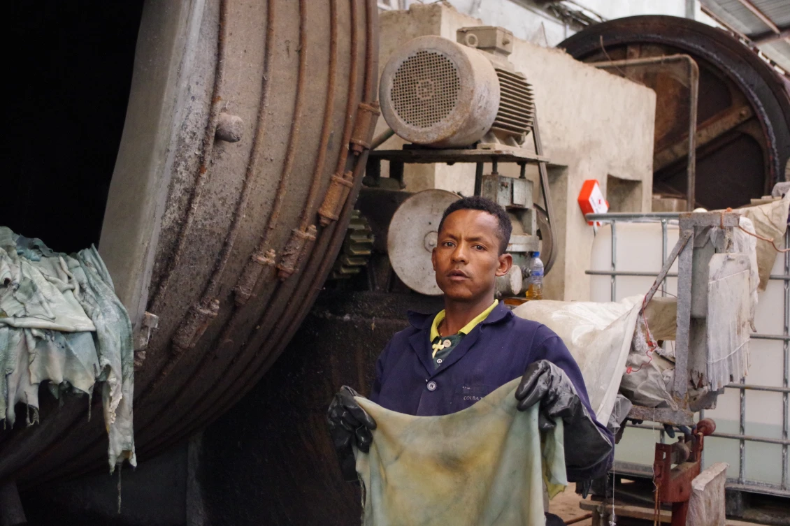 There are around 11 tanneries in Modjo town; creating significant number of employment opportunities even though they offer meager salary to their employees.