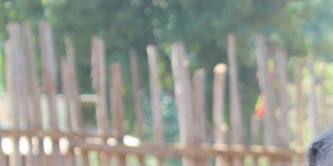 Student of Wogida primary school in Gadio zone, SNNPR, Ethiopia.
