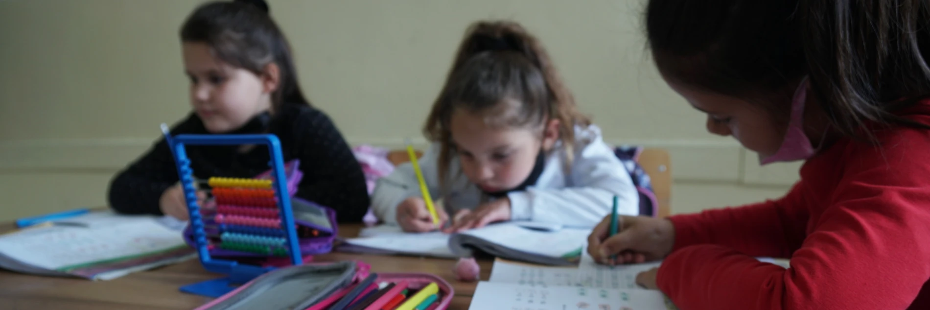 Kosovo: Civil Society & Inclusive Governance