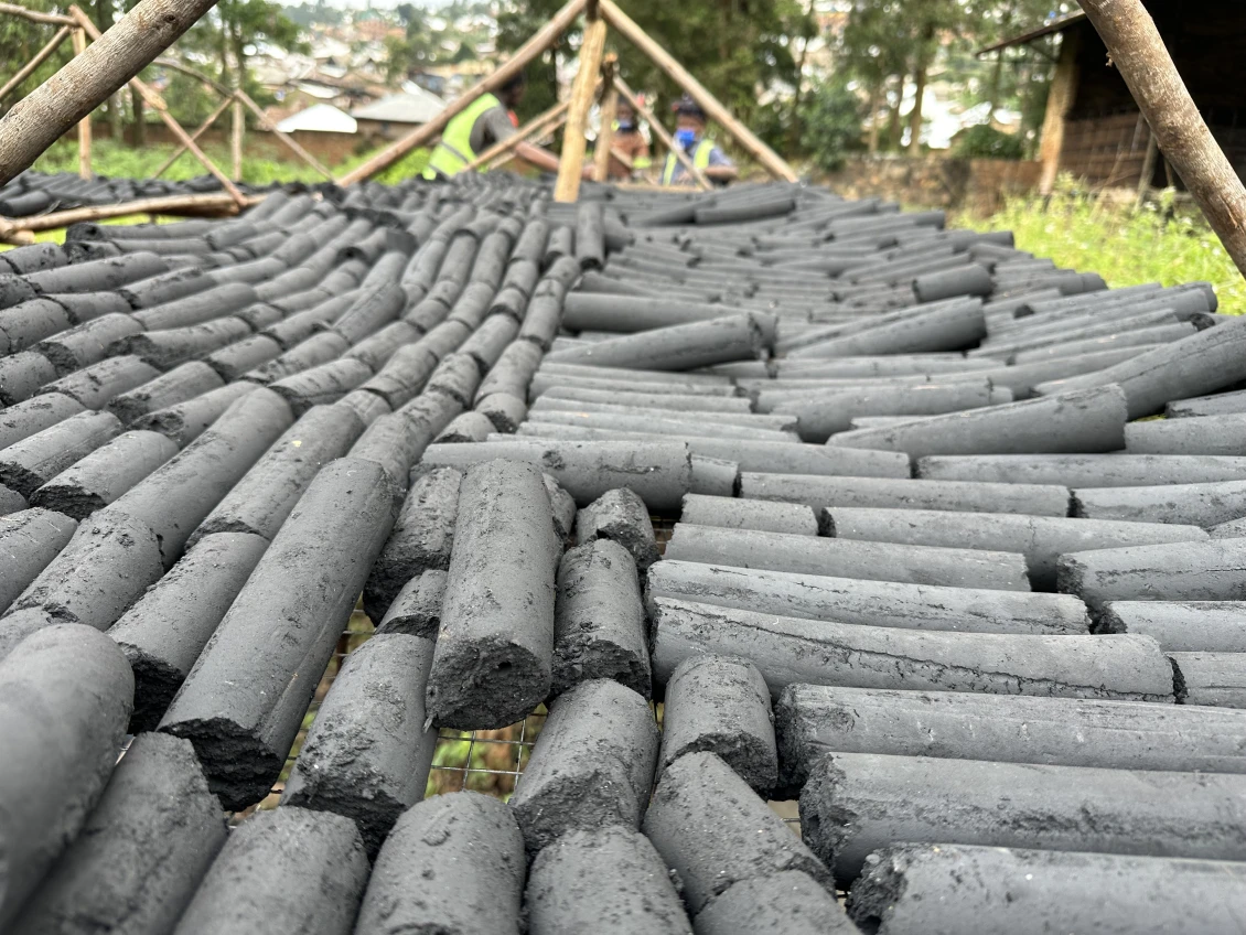 Bamboo charcoal will help the locals fight deforestation. 