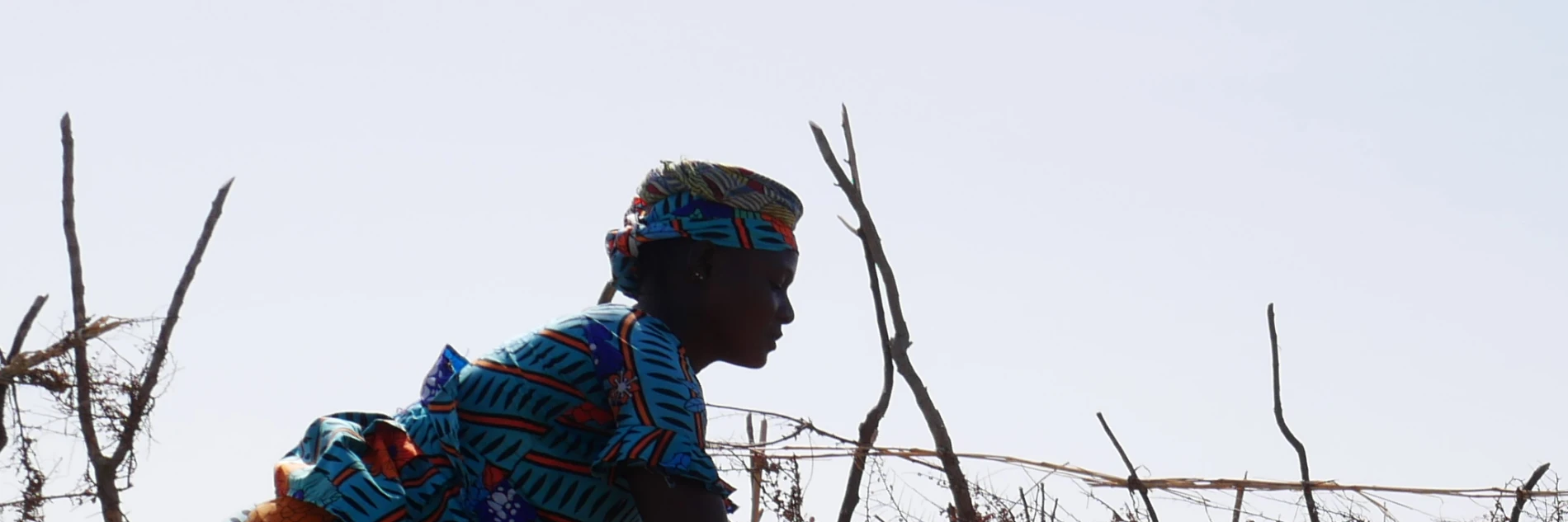 Mali: Climate resilience