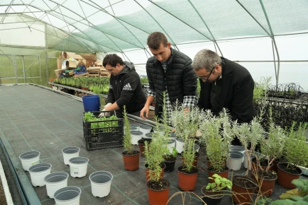 Helping people with disabilities find paid employment in Bosnia and Herzegovina