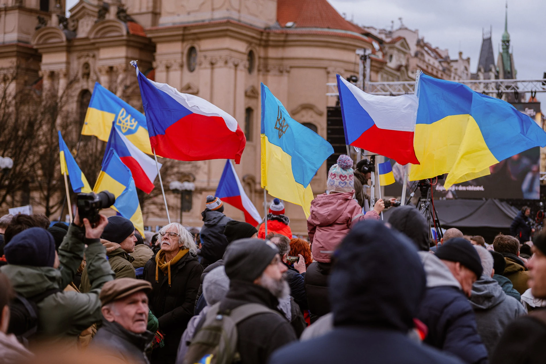 Deputy Head of Consortium for Ukraine