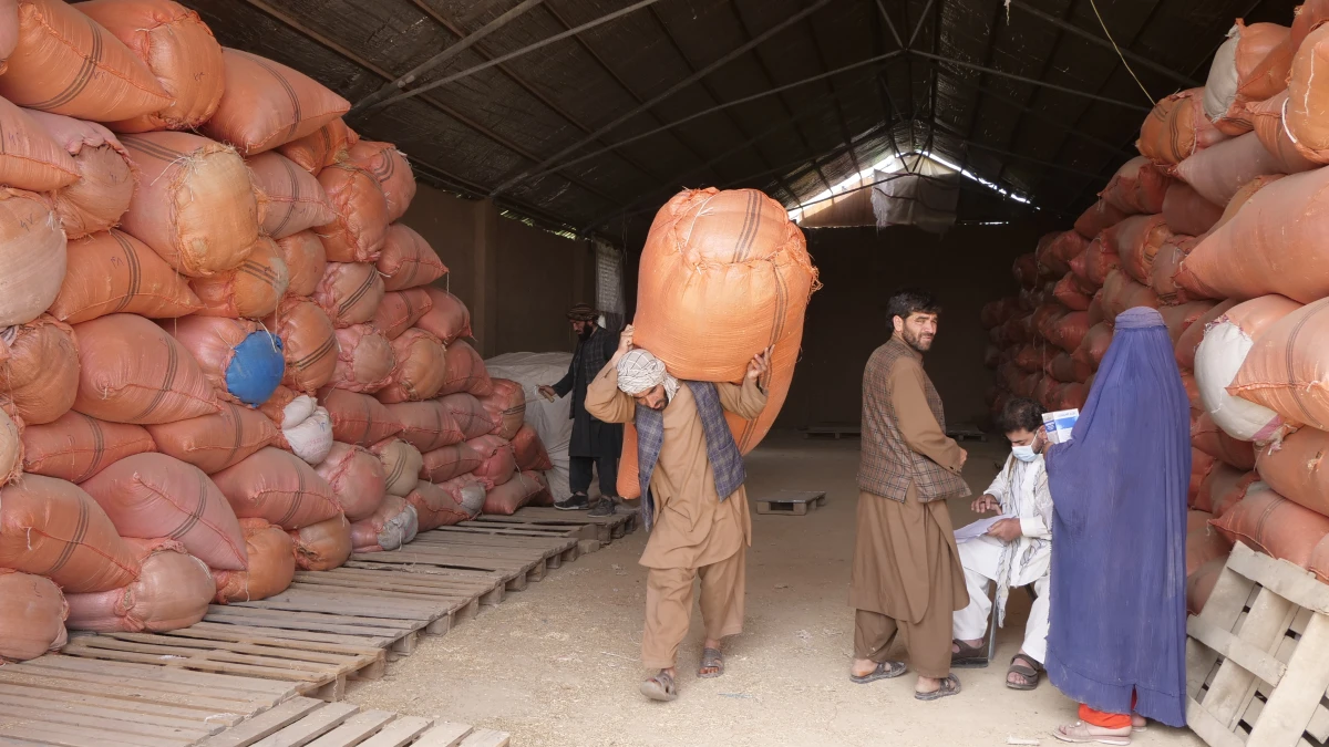 These photos are relevant to the story of Kubra, one of AHF beneficiaries in the Shulgara district of Balkh province, who received the first round of cash for food support.
the distribution started on 29 March 2026 in Balkh province, northern Afghanistan.