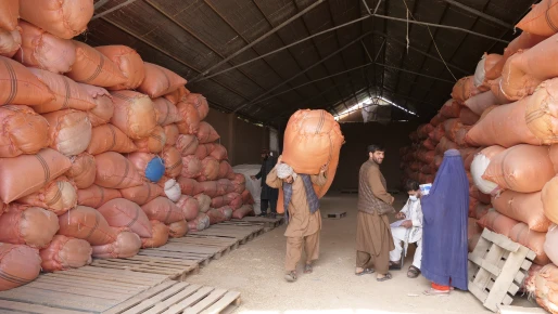 These photos are relevant to the story of Kubra, one of AHF beneficiaries in the Shulgara district of Balkh province, who received the first round of cash for food support.
the distribution started on 29 March 2026 in Balkh province, northern Afghanistan.