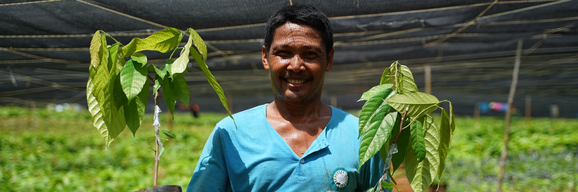 Philippines: Climate resilience