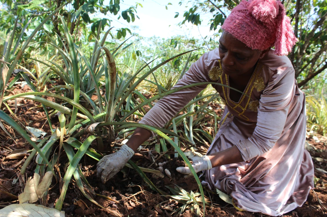 Almaze Argeta has been a farmer her entire life, and she was chosen as a model farmer by People in Need for training in producing vermicompost.