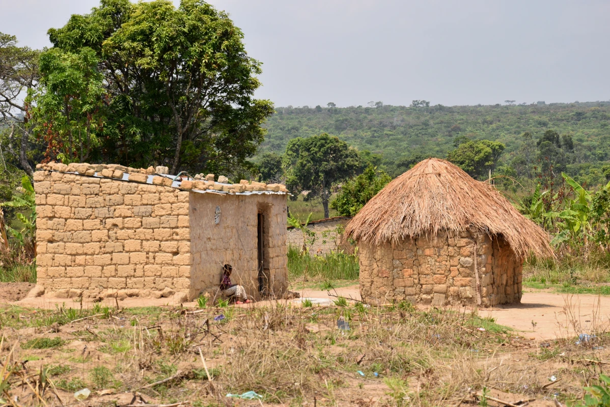 Food and nutrition security improvement 