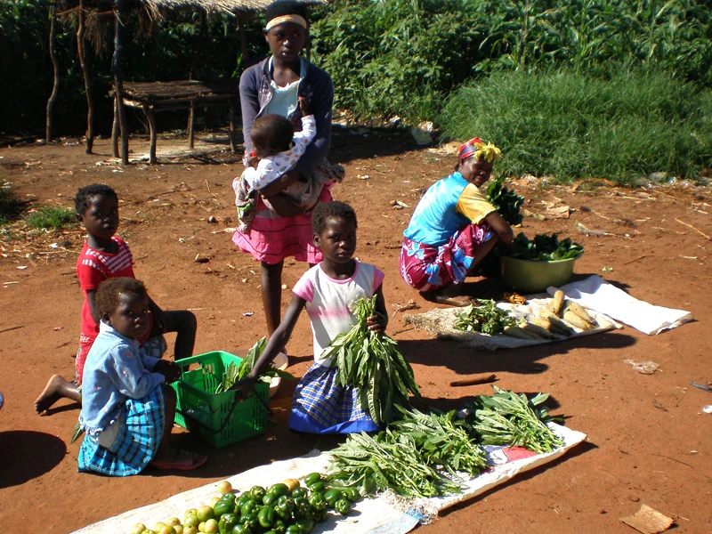 Farmer training and Agricultural Market development