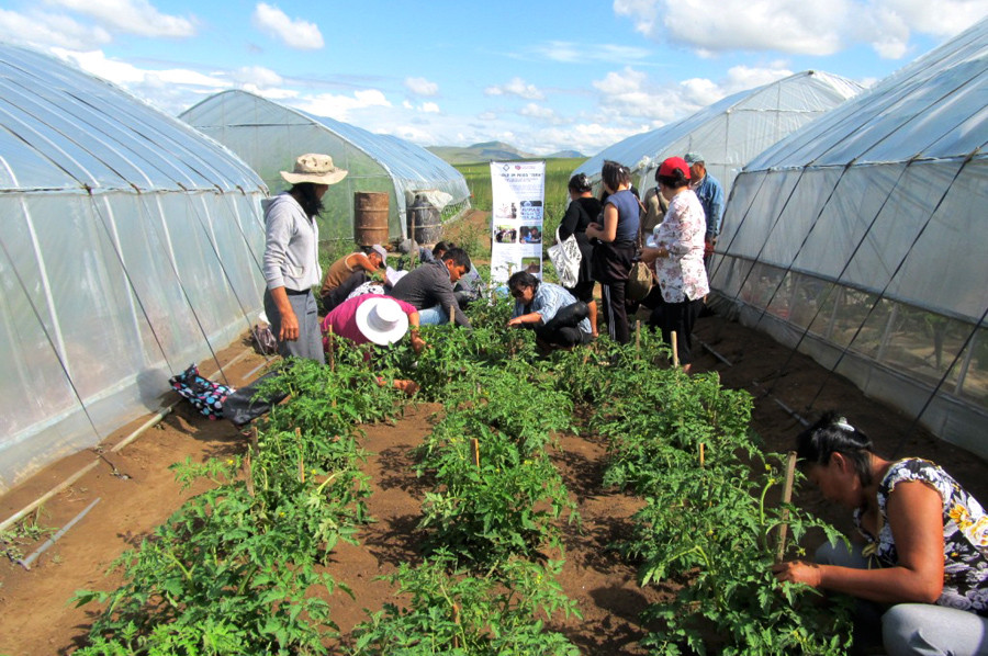 Support of small and medium enterprises