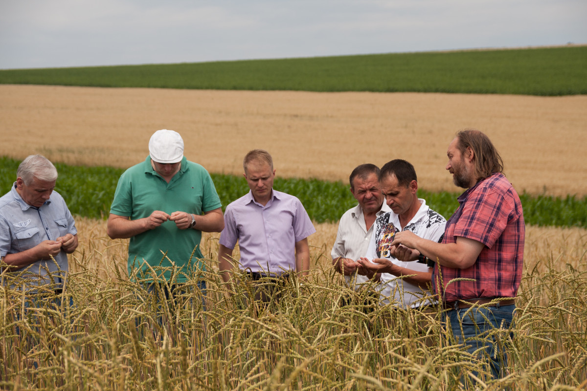 Support to the organic agriculture sector