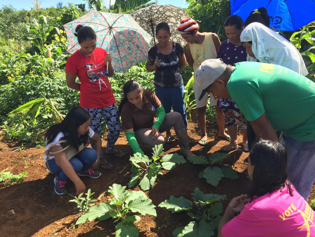 Making markets work for farmers I.