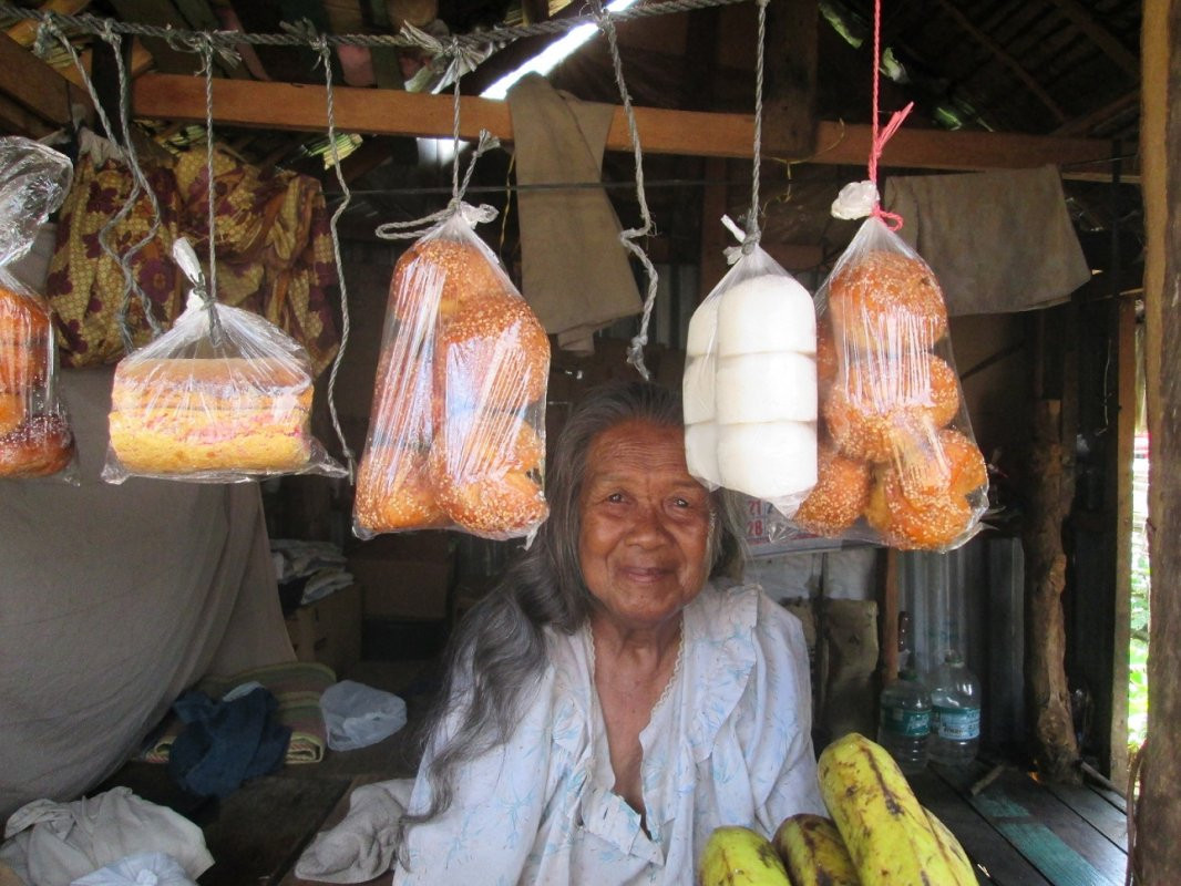 Rapid Livelihood Recovery