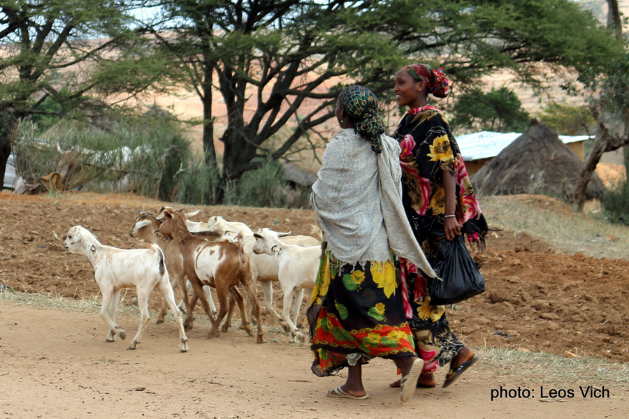 Support of restoring livelihoods