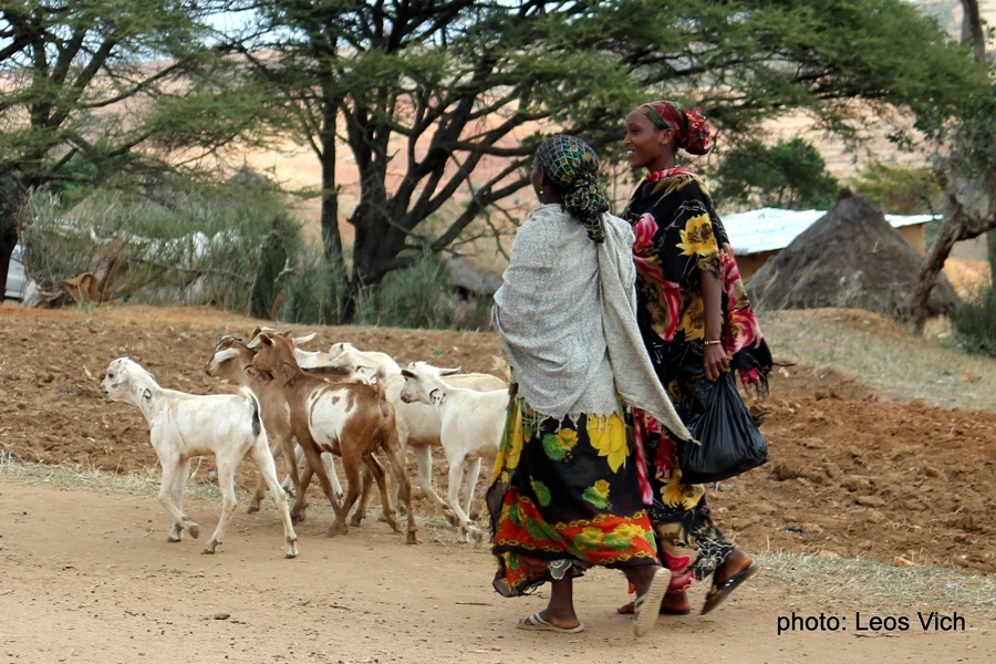 Support of restoring livelihoods