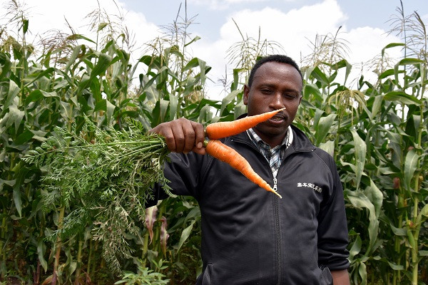 Support of Agricultural Advisory Services