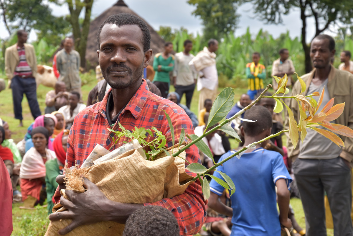 Participatory development of the landscape in the Sidama zone