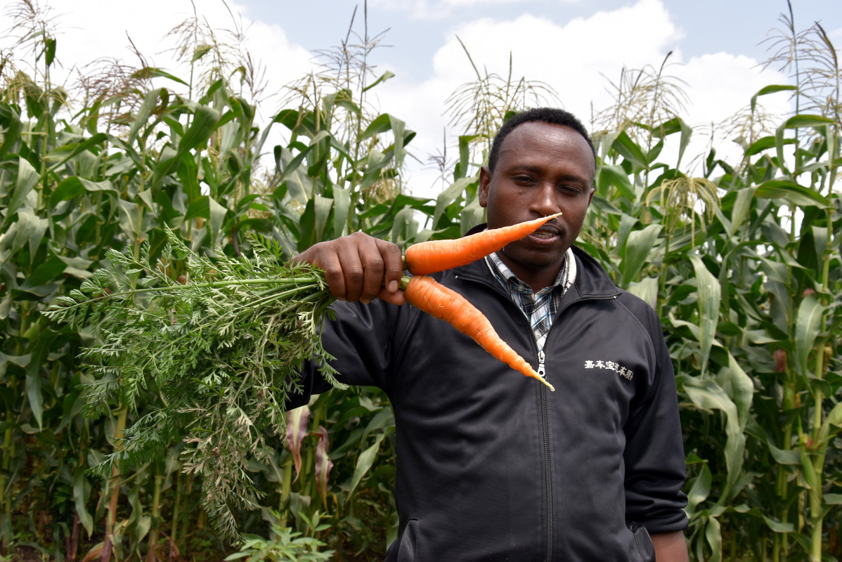 Improving livelihoods and nutrition through better community services