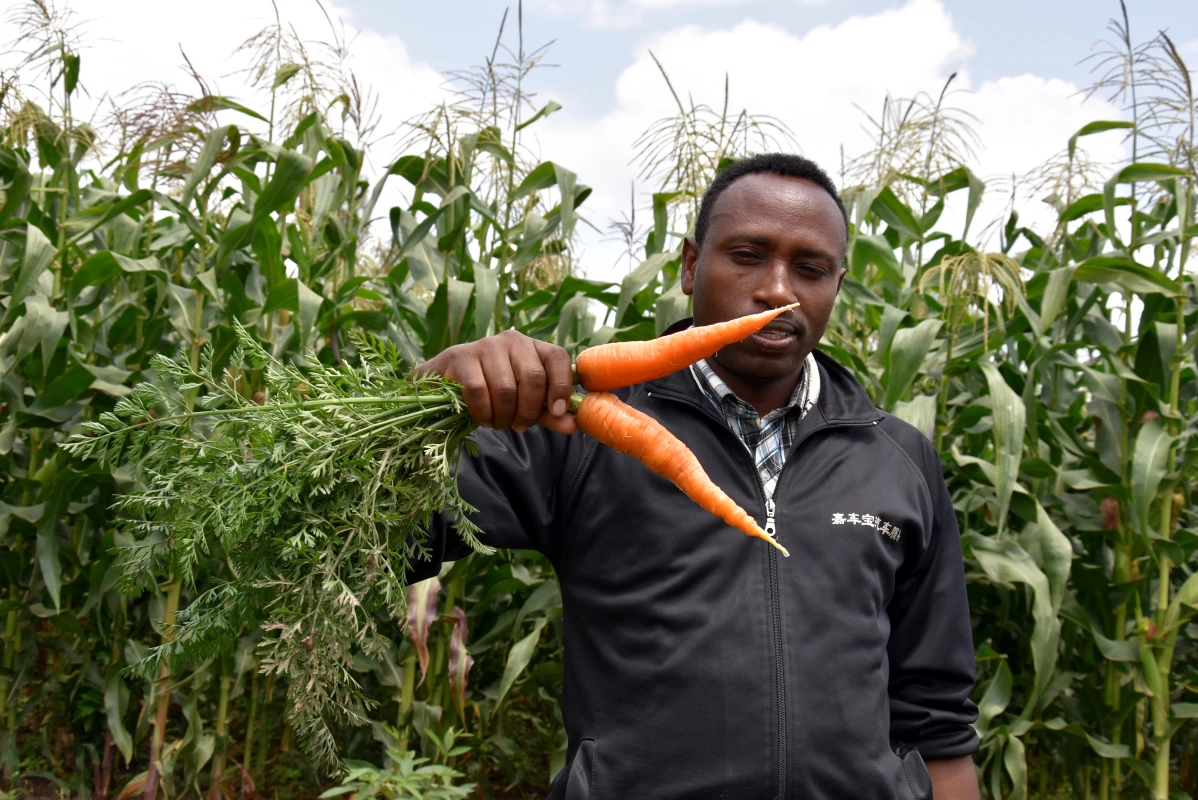 Improving livelihoods and nutrition through better community services