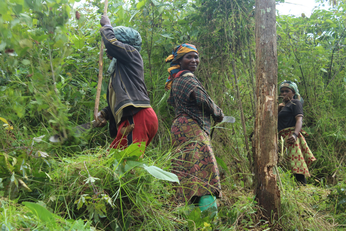 Improving nutrition and health care in the Mulungu region