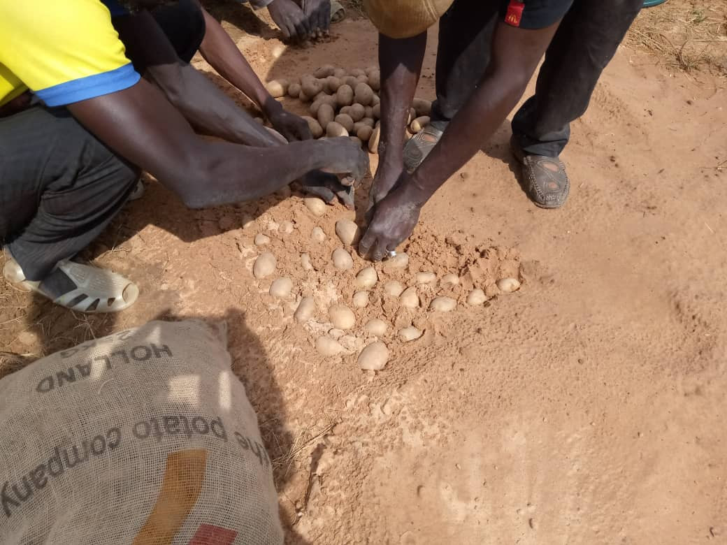 Strengthening Resilience Through Improved Livelihoods for Vulnerable Agropastoral Households in the Western Sahel Zone, Mali