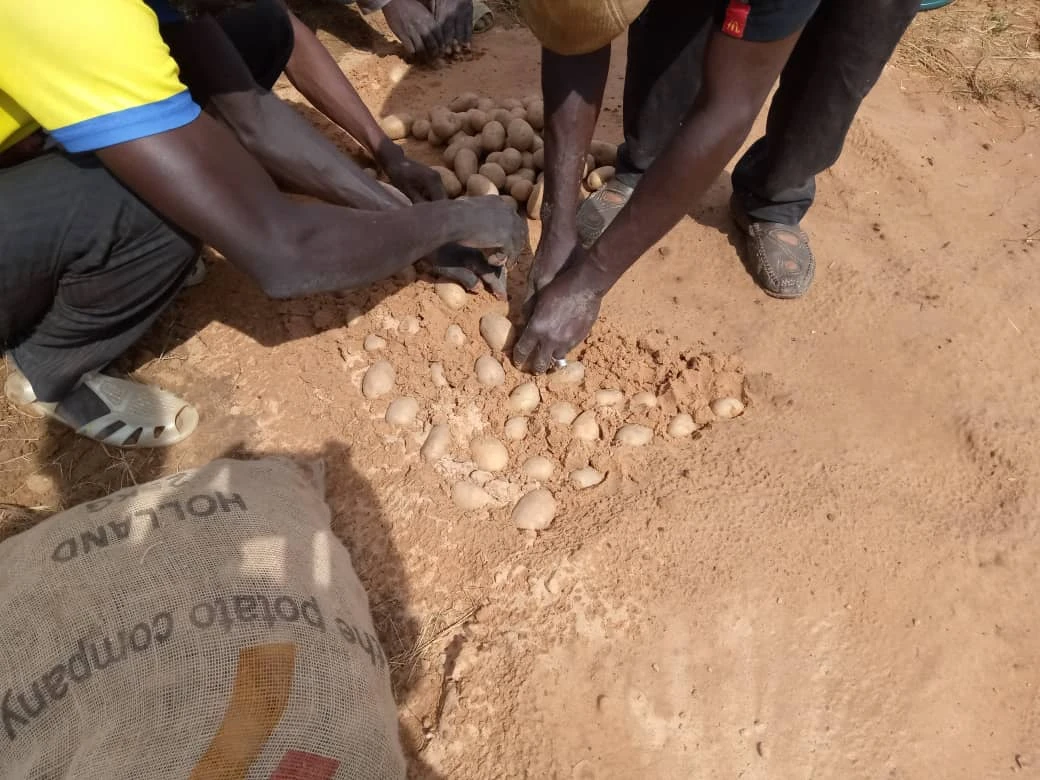 Strengthening Resilience Through Improved Livelihoods for Vulnerable Agropastoral Households in the Western Sahel Zone, Mali