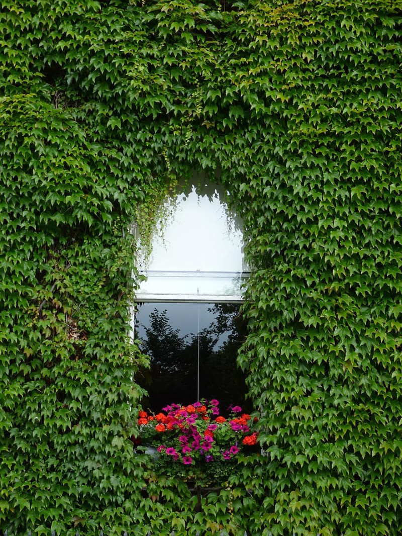 People in Need Addresses Energy Poverty in Bosnia with Green Homes