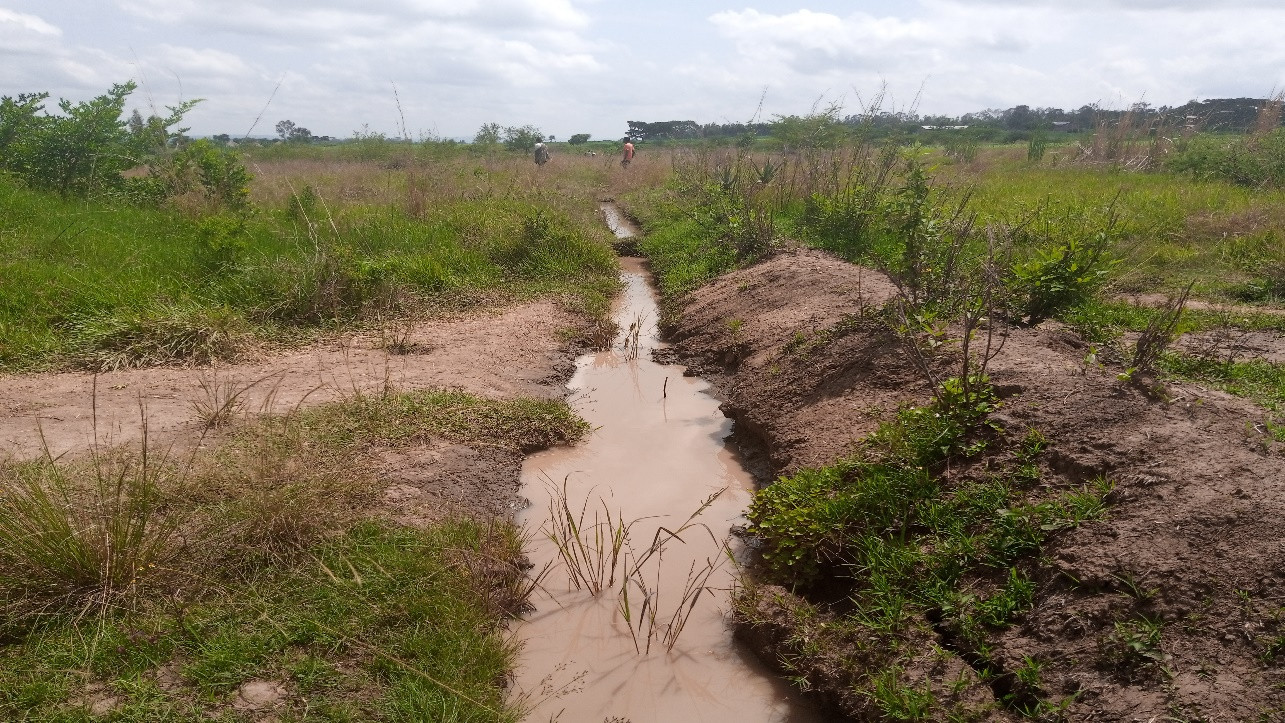 Participatory development of the landscape in Sidama zone