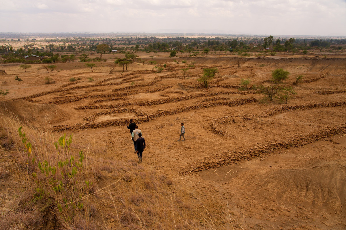 Increase of Ecological Stability in Dijo and Bilate Catchment Basins