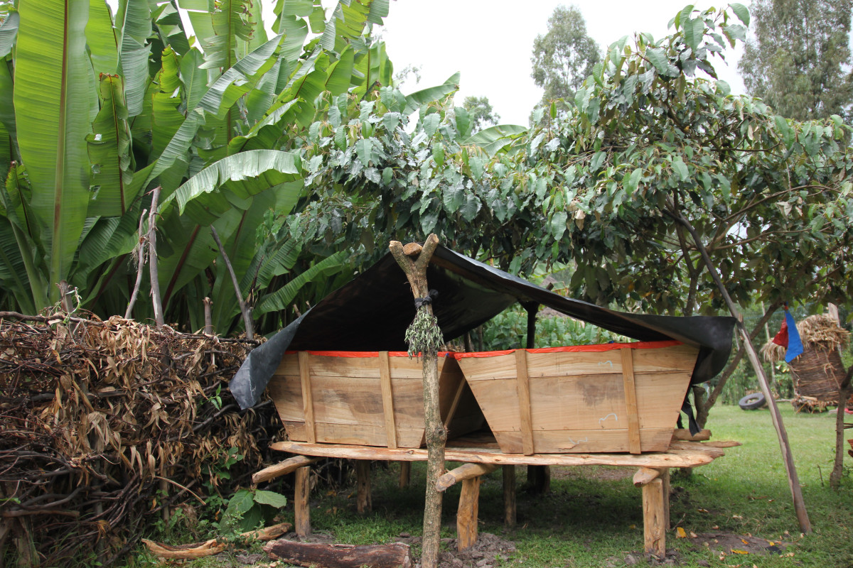 Agriculture Systems Adaptation Programme in Reqame Watershed, Halaba and Silte - ASAP in Reqame